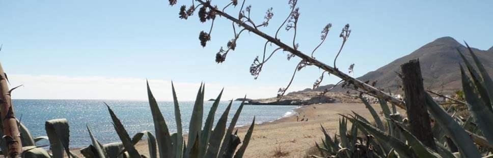 Hostal Casa Emilio Almeria Luaran gambar